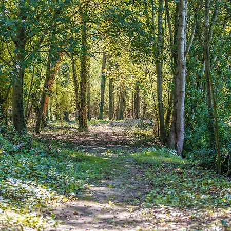 Pet Friendly In With View 度假居 布尔堡